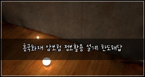 흥국화재 암보험 정보활용  설계 한도해답