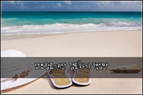 암보험료계산 검토하기 핵심만