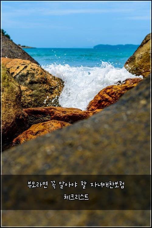 부모라면 꼭 알아야 할 자녀애찬보험 체크리스트