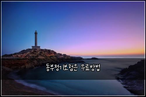 λλΆμ 기보νμ 무λ£λ°©λ²