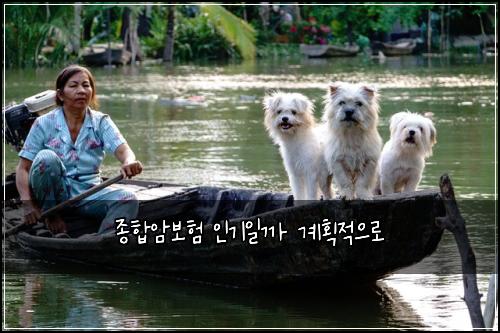 종합암보험 인기일까  계획적으로
