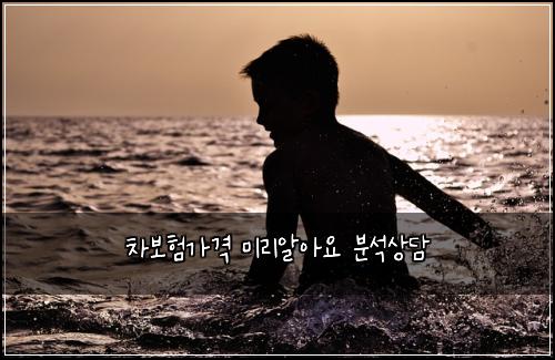 차보νκ°κ²© 미리μμμ λΆμμλ΄