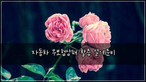 자동차 무보험상해 활증 설계준비