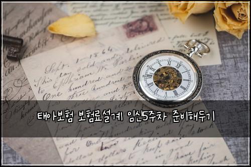 태아보험 보험료설계 임신5주차 준비해두기