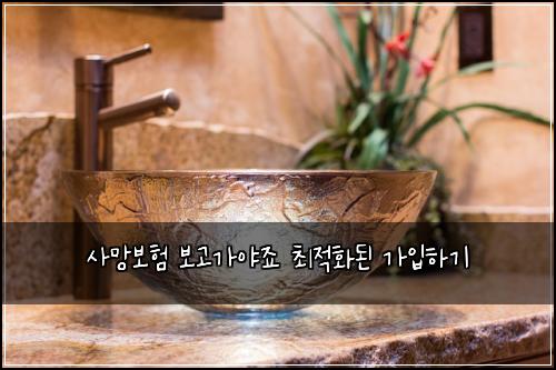 사망보험 보고가야죠  최적화된 가입하기