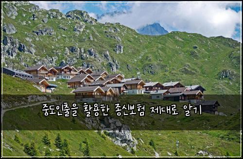 중도인출을 활용한 종신보험 제대로 알기