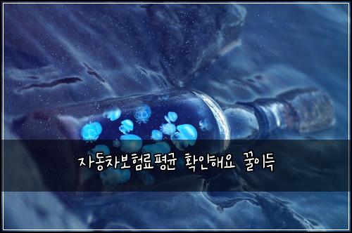 자동차보험료평균 확인해요 꿀이득