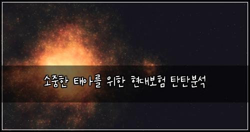소중한 태아를 위한 현대보험 탄탄분석 