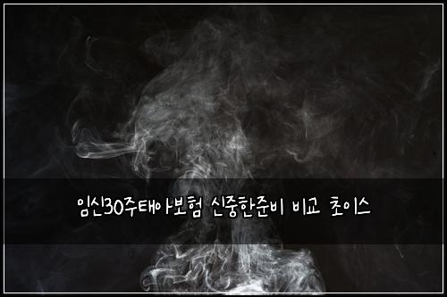 임신30주태아보험 신중한준비  비교 초이스