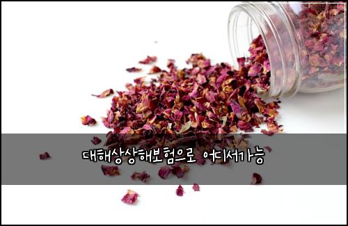 대해상상해보험으로 어디서가능