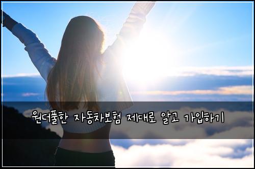 원더풀한 자동차보험 제대로 알고 가입하기