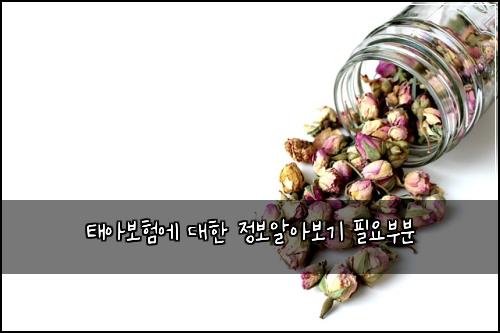 태아보험에 대한 정보알아보기 필요부분