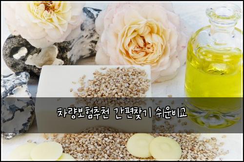 차량보험추천 간편찾기 쉬운비교