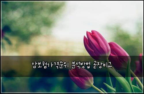암보험가격순위 분석방법 곧장비교