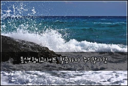 종신보험비교사이트 활용하자 주의할사항