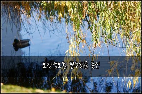 ๋ณด์ฅ์ฑ๋ณดํ ํ์์ํ ์ข
์
