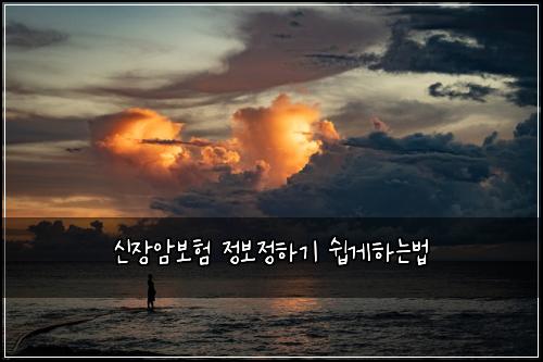 신장암보험 정보정하기  쉽게하는법