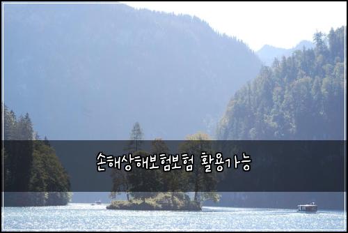 손해상해보험보험 활용가능