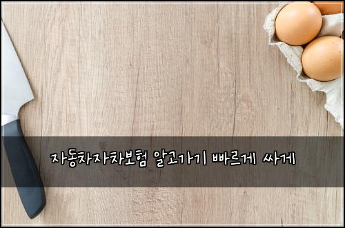 ์๋์ฐจ์์ฐจ๋ณดํ ์๊ณ ๊ฐ๊ธฐ ๋น ๋ฅด๊ฒ ์ธ๊ฒ