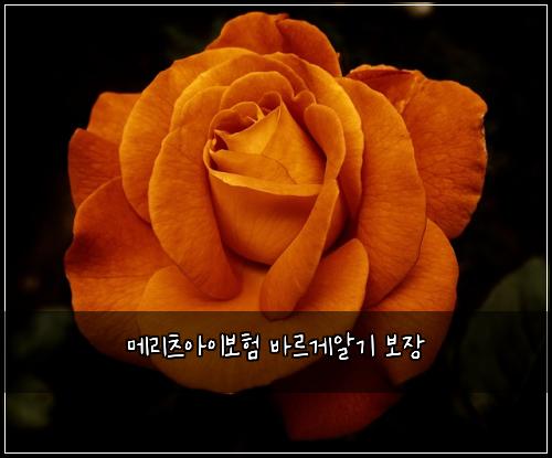 메리츠아이보험 바르게알기  보장