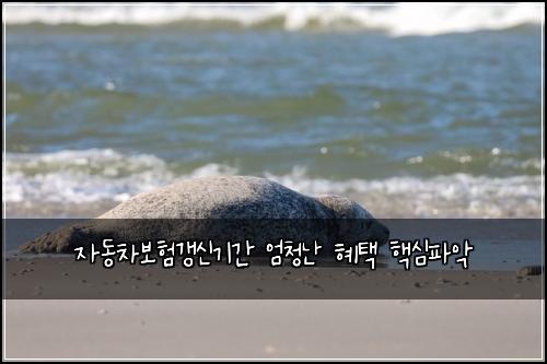 자동차보험갱신기간 엄청난 혜택 핵심파악