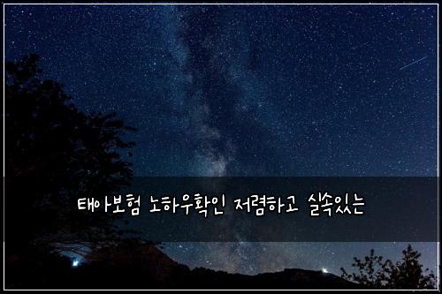태아보험 노하우확인  저렴하고 실속있는