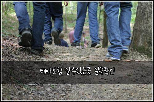 태아보험 알수있는곳  실속확인