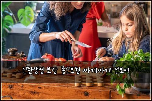 신한생명 보장 종신보험 싸게싸게  선보여