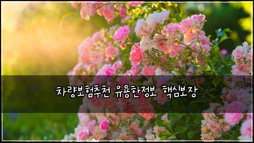 ์ฐจ๋๋ณดํ์ถ์ฒ ์ ์ฉํ์ ๋ณด ํต์ฌ๋ณด์ฅ