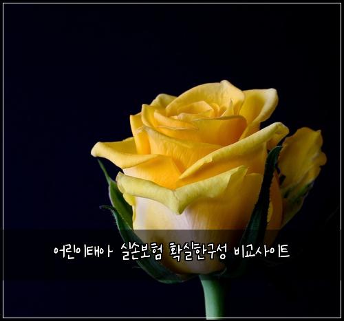 ์ด๋ฆฐ์ดํ์ ์ค์๋ณดํ ํ์คํ๊ตฌ์ฑ ๋น๊ต์ฌ์ดํธ