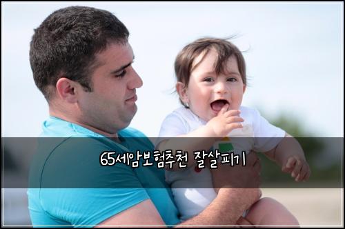 65์ธ์๋ณดํ์ถ์ฒ ์์ดํผ๊ธฐ