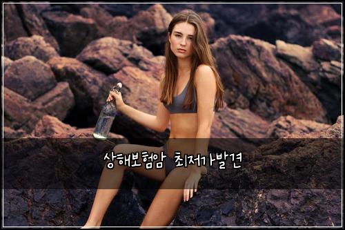 상해보험암 최저가발견