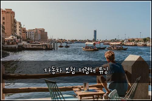 자동차 보험 저렴해  튜닝