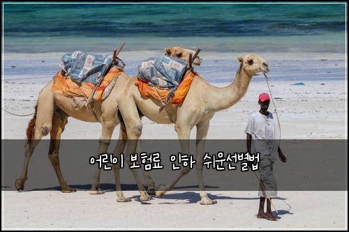 어린이 보험료 인하 쉬운선별법