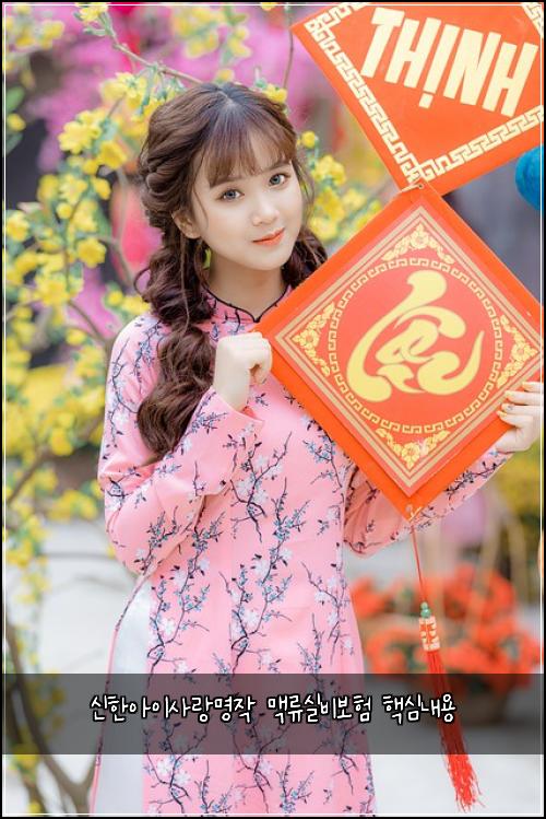 ์ ํ์์ด์ฌ๋๋ช
์ ๋งฅ๋ฅ์ค๋น๋ณดํ ํต์ฌ๋ด์ฉ