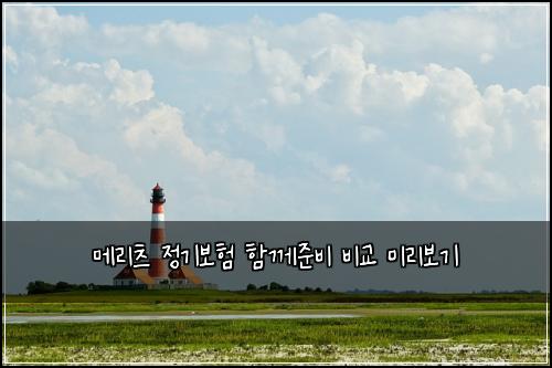 ๋ฉ๋ฆฌ์ธ ์ ๊ธฐ๋ณดํ ํจ๊ป์ค๋น ๋น๊ต ๋ฏธ๋ฆฌ๋ณด๊ธฐ