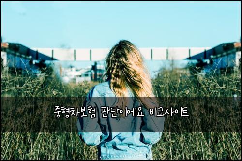 중형차보험 판단이에요  비교사이트