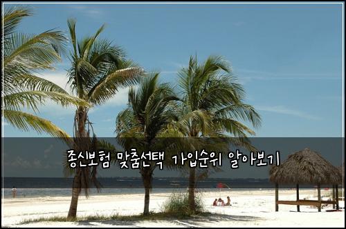 종신보험 맞춤선택  가입순위 알아보기