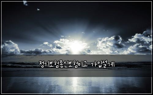 정기보험종신보험비교 가입설계