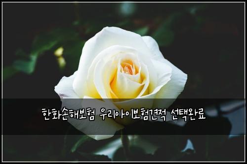 한화손해보험 우리아이보험견적 선택완료