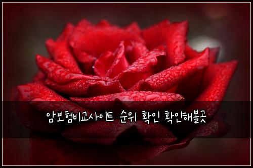 ์๋ณดํ๋น๊ต์ฌ์ดํธ ์์ ํ์ธ ํ์ธํด๋ณผ๊ณณ