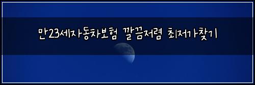 만23세자동차보험 깔끔저렴  최저가찾기