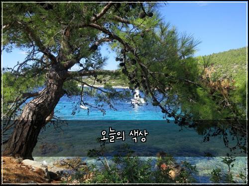 오늘의 색상