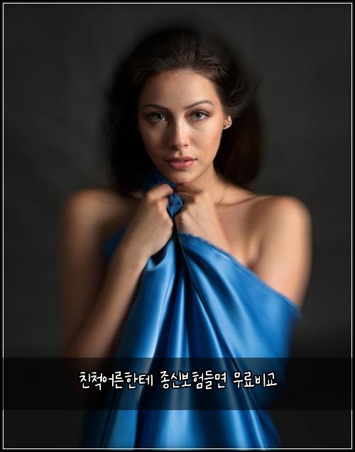 친척어른한테 종신보험들면 무료비교