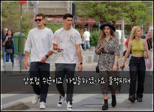 암보험 쉬운비교  가입들하셨나요 물적피해