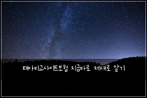 태아비교사이트보험 지금바로  제대로 알기