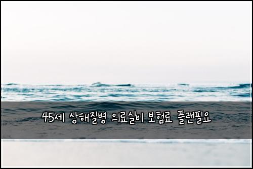 45세 상해질병 의료실비 보험료 플랜필요