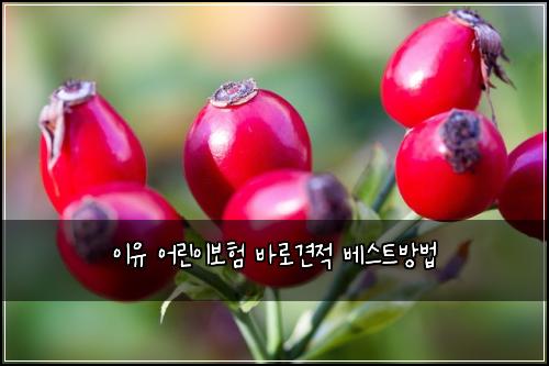 ์ด์ ์ด๋ฆฐ์ด๋ณดํ ๋ฐ๋ก๊ฒฌ์ ๋ฒ ์คํธ๋ฐฉ๋ฒ