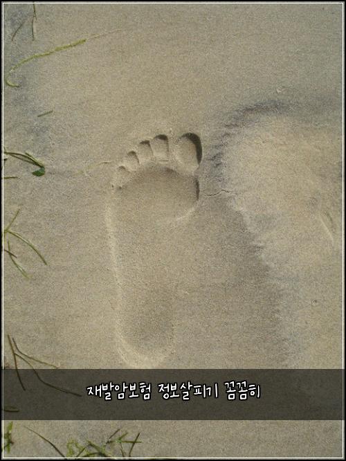 재발암보험 정보살피기  꼼꼼히
