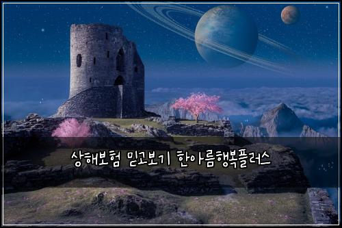상해보험 믿고보기  한아름행복플러스
